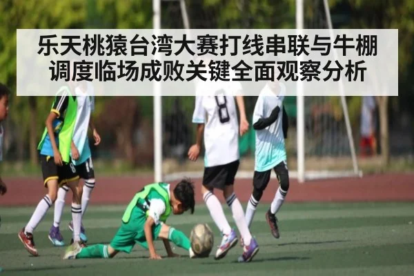 乐天桃猿台湾大赛打线串联与牛棚调度临场成败关键全面观察分析